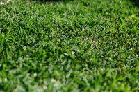 Lawn Mowing Gold Coast